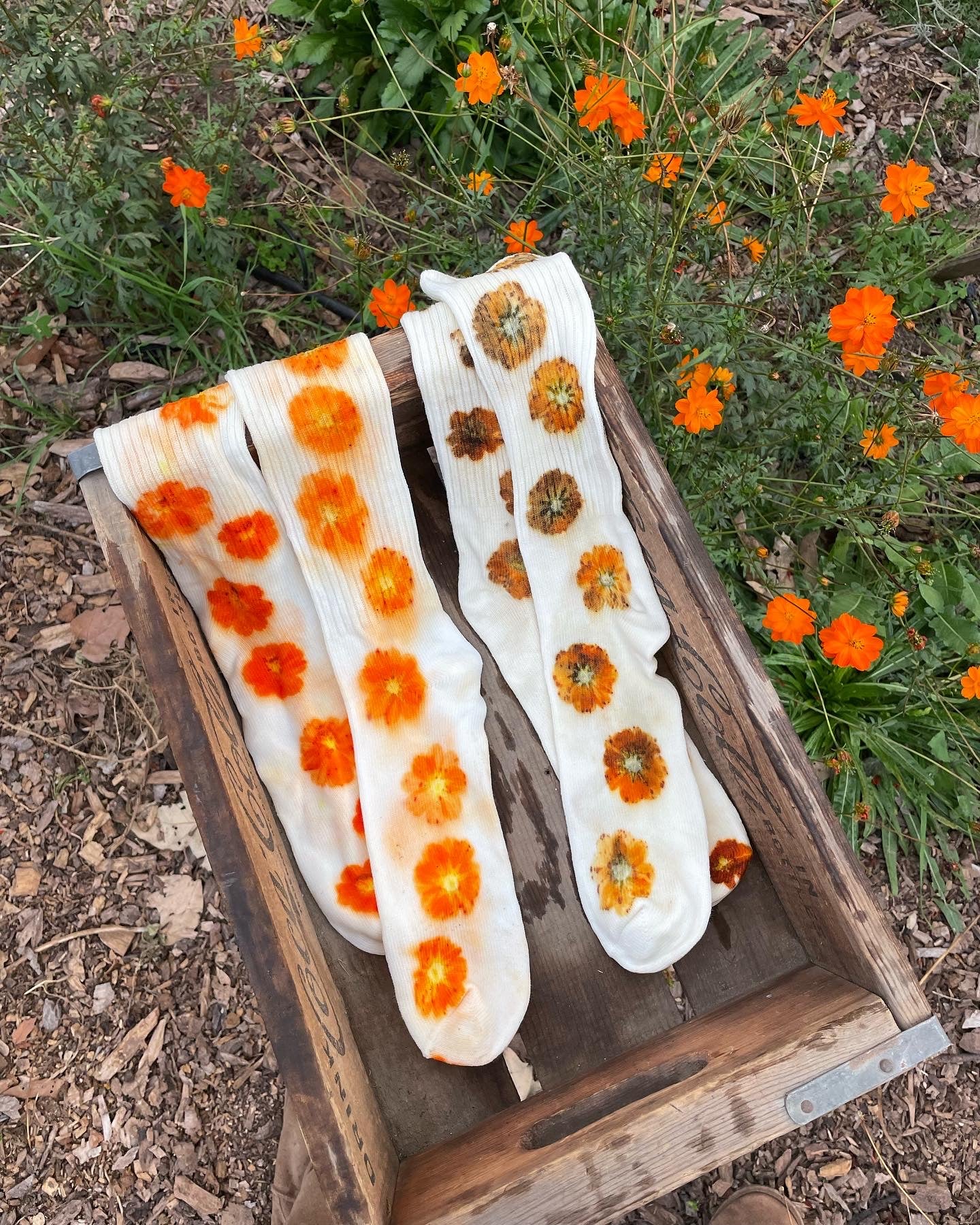 Cosmo Bamboo Socks