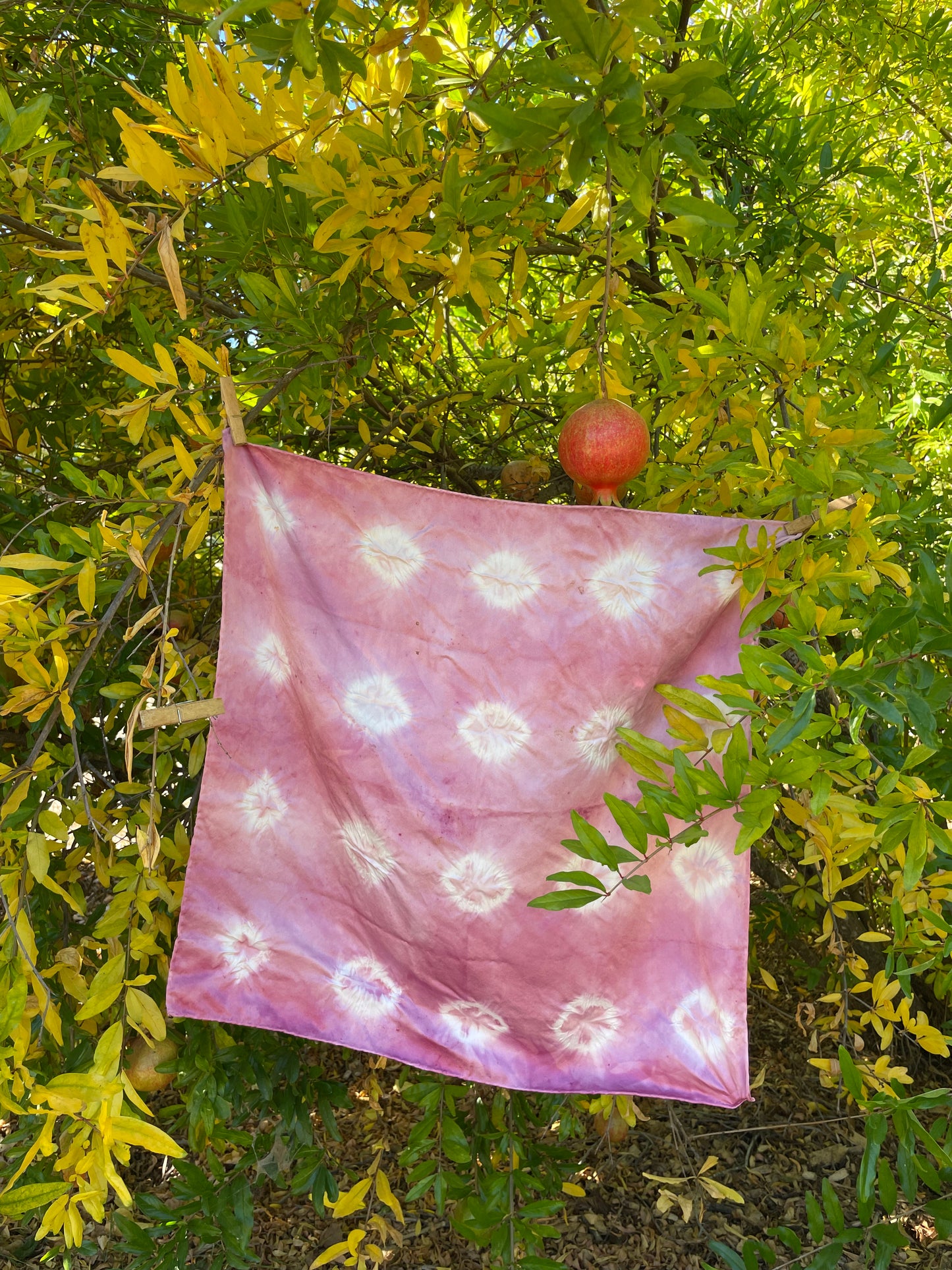 Cochineal Silk Scarf Rings