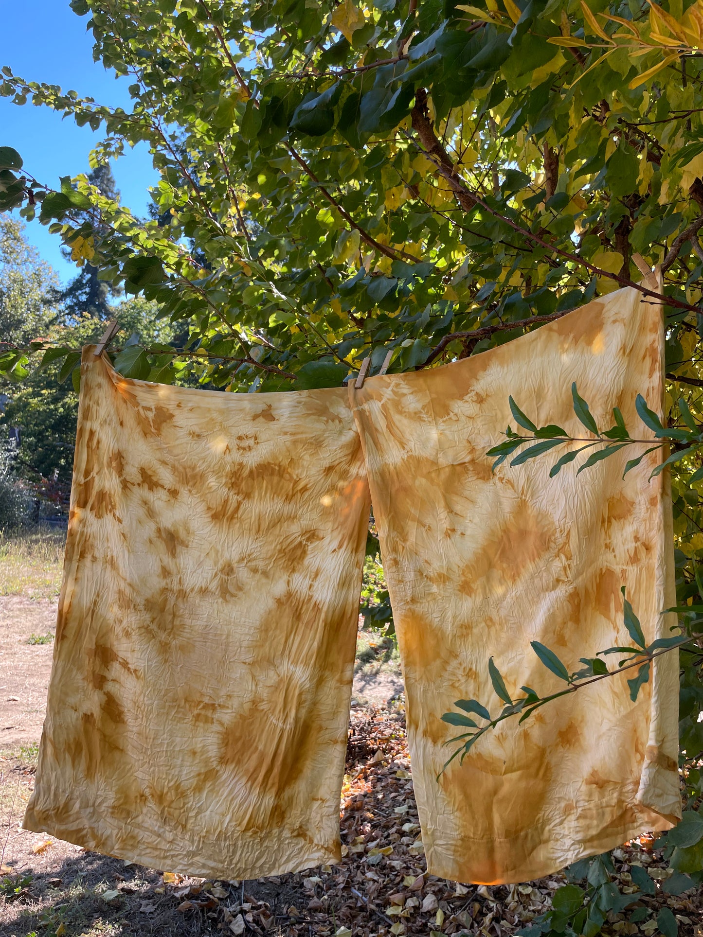 Eucalyptus Dyed Silk Pillowcase