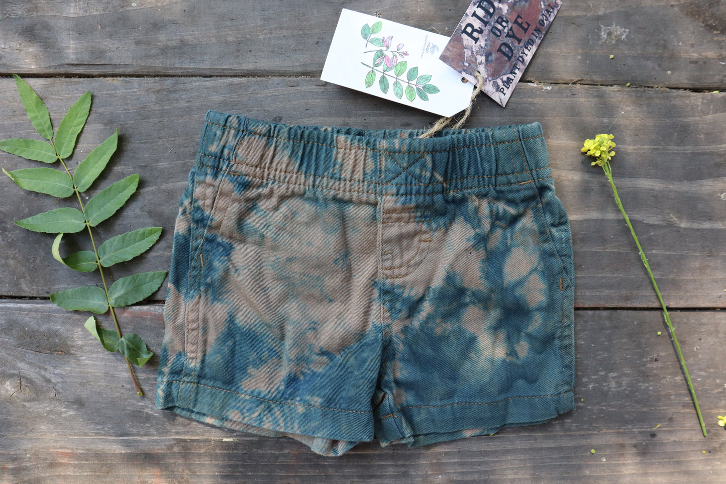 Wrangler Baby Indigo Walnut Shorts